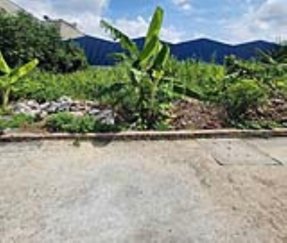 ✨Đất vuông đẹp Thạnh Xuân 47, Q12 - Hẻm xe tải, 100m2, SHR✨