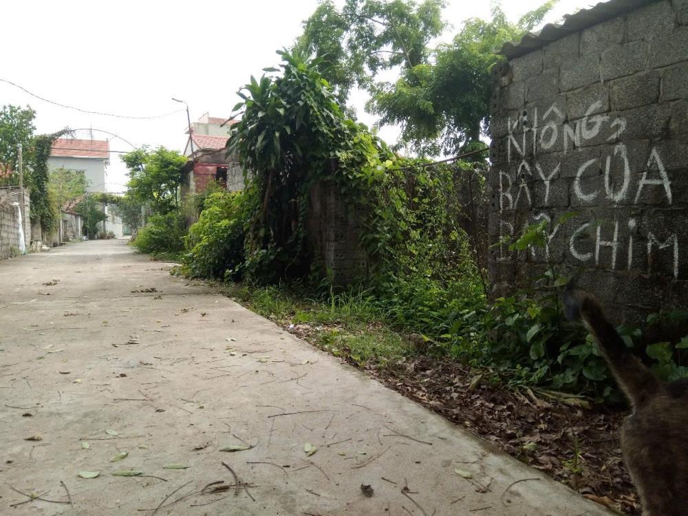 Bán Đất Phúc Tiến, Phú Xuyên, Hà Nội - Vị Trí Đắc Địa, Giá Tốt
