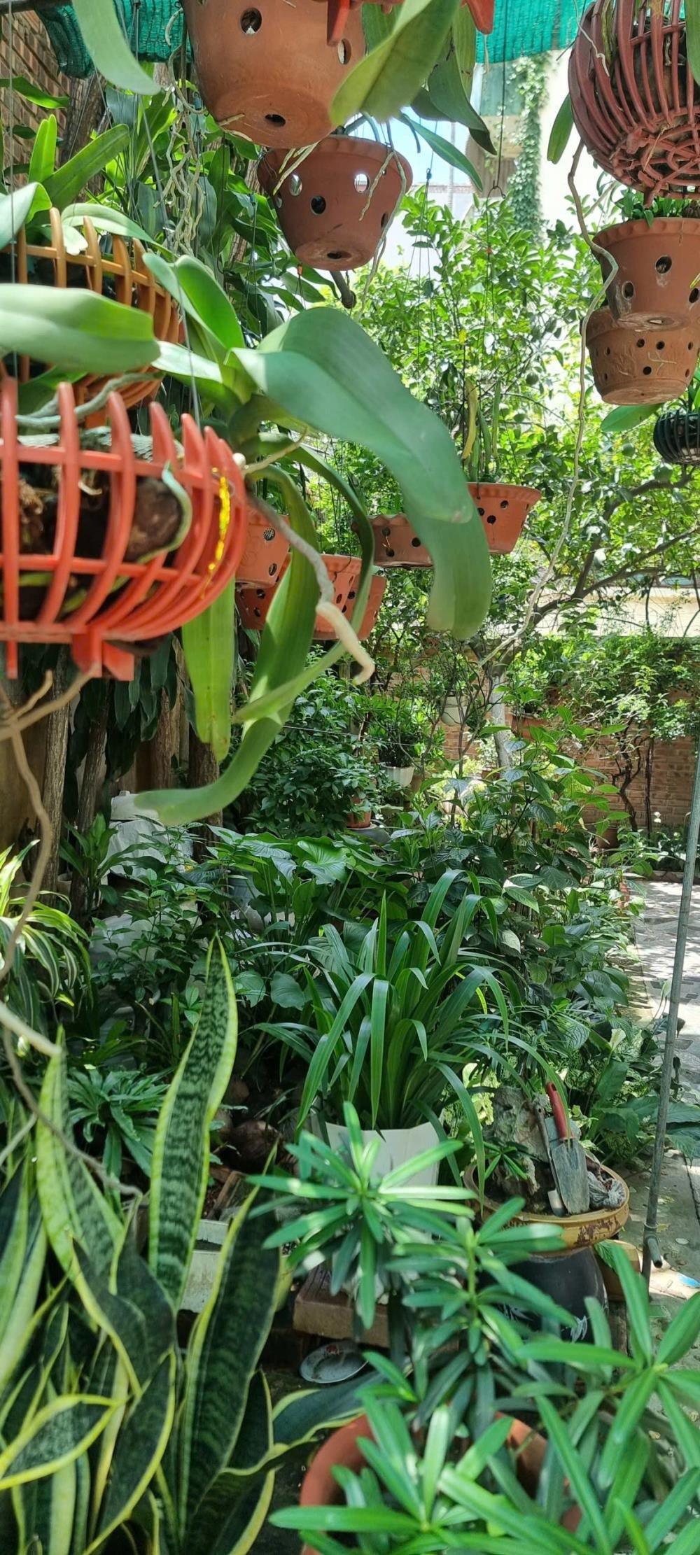 Cho Thuê Căn Hộ Biệt Thự 150m² Đội Cấn - Full Đồ, Giá Tốt
