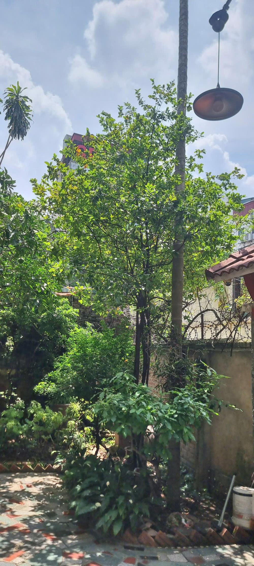 Cho Thuê Căn Hộ Biệt Thự 150m² Đội Cấn - Full Đồ, Giá Tốt