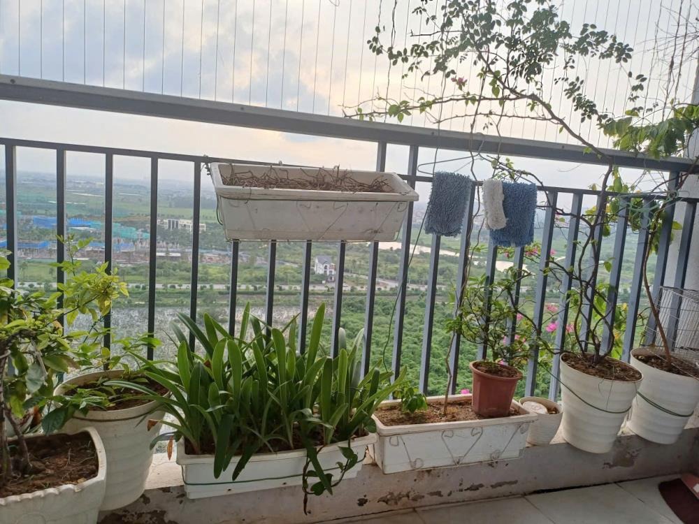 Bán Căn Hộ 2PN, 72m² Full Đồ - Chung Cư Thanh Hà, Giá 2.88 Tỷ