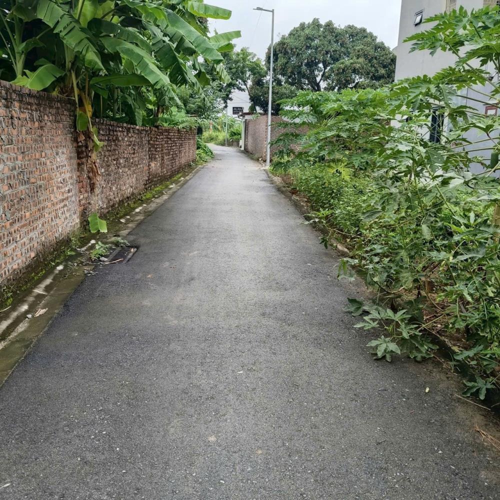 Bán Đất Dương Quang, Gia Lâm - Ngõ Thông, Ô Tô Tránh, Đầu Tư Tăng Giá