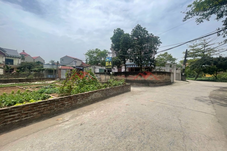 CHÍNH CHỦ BÁN LÔ GÓC ĐẸP 58,6M TẠI THỤY HƯƠNG-CHƯƠNG MỸ-HÀ NỘI