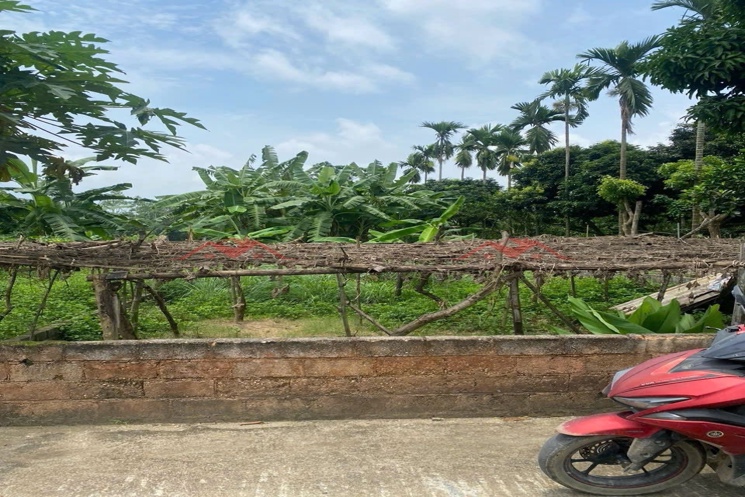 HÀNG FO BÁN LÔ GÓC 148,1M TẠI THỦY XUÂN TIÊN-CHƯƠNG MỸ-HÀ NỘI