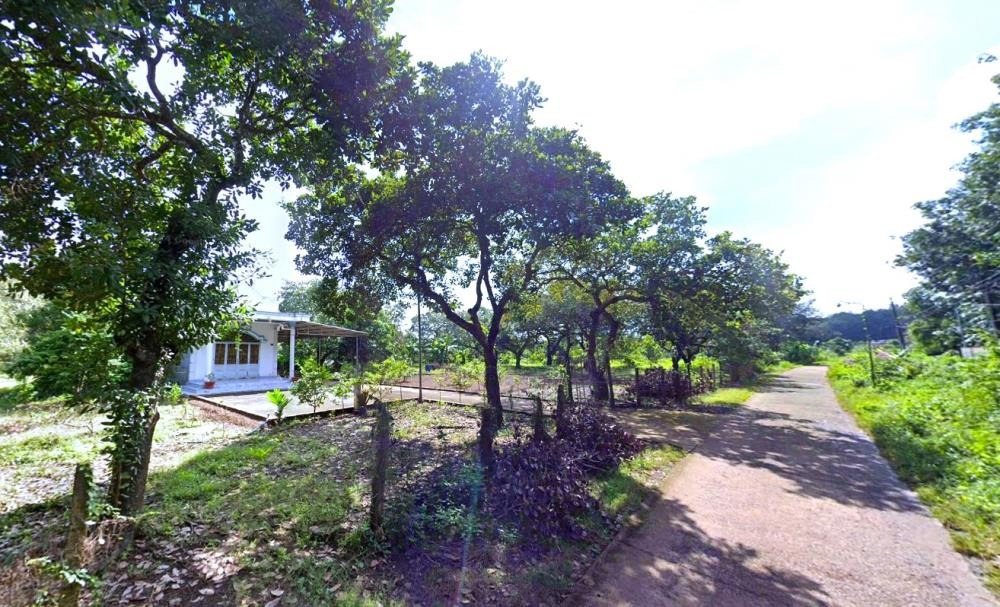 Bán Đất Nền Bình Phước 2.450m² - 200m² Thổ Cư - Giá Rẻ 250tr