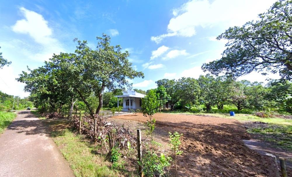 Bán Đất Nền Bình Phước 2.450m² - 200m² Thổ Cư - Giá Rẻ 250tr