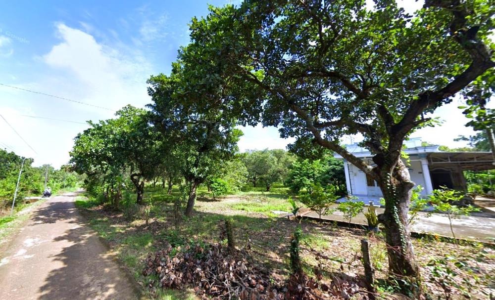 Bán Đất Nền Bình Phước 2.450m² - 200m² Thổ Cư - Giá Rẻ 250tr