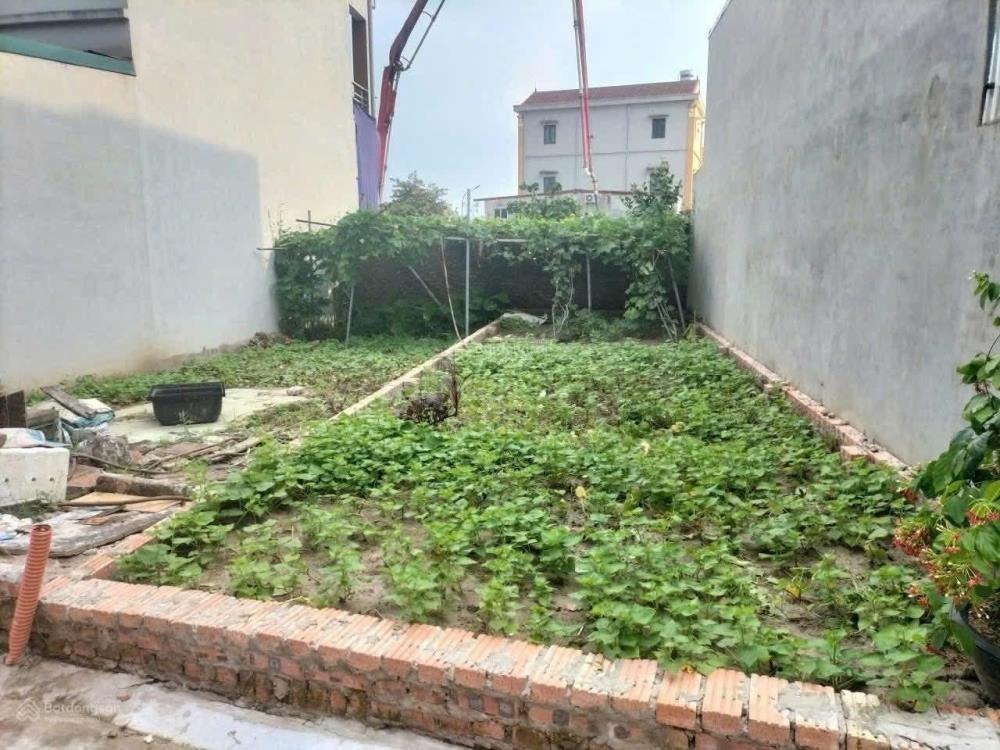 Bán Đất Lại Đà Đông Anh - Vị Trí Vàng Gần Vin Cổ Loa, Cầu Tứ Liên