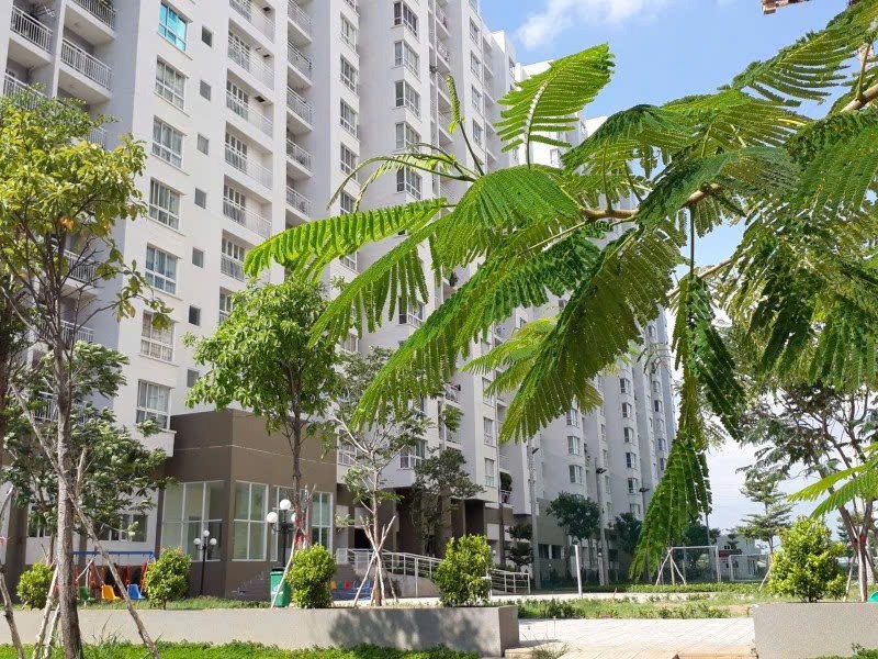 Cho Thuê Căn Hộ Nguyễn Văn Linh - Happy City - 6 Triệu/Tháng