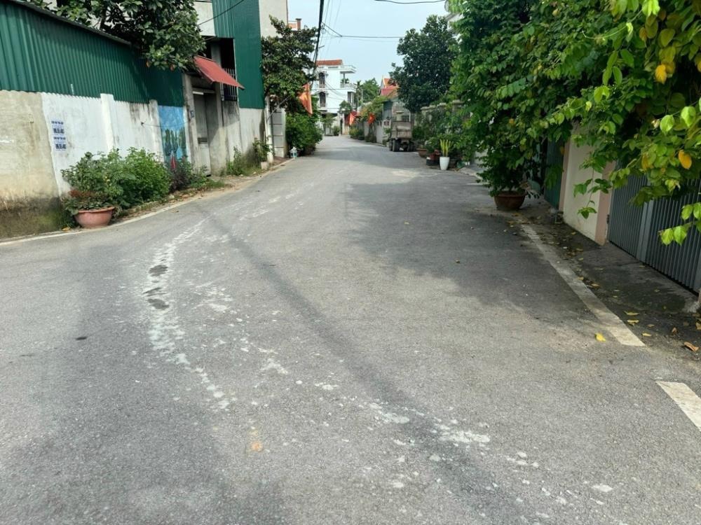 Đất Song Phượng - Đan Phượng: 102m2 Full Thổ Cư, Ô Tô Đỗ Cửa