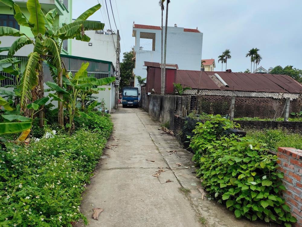 Đất Song Phượng - Đan Phượng: 102m2 Full Thổ Cư, Ô Tô Đỗ Cửa