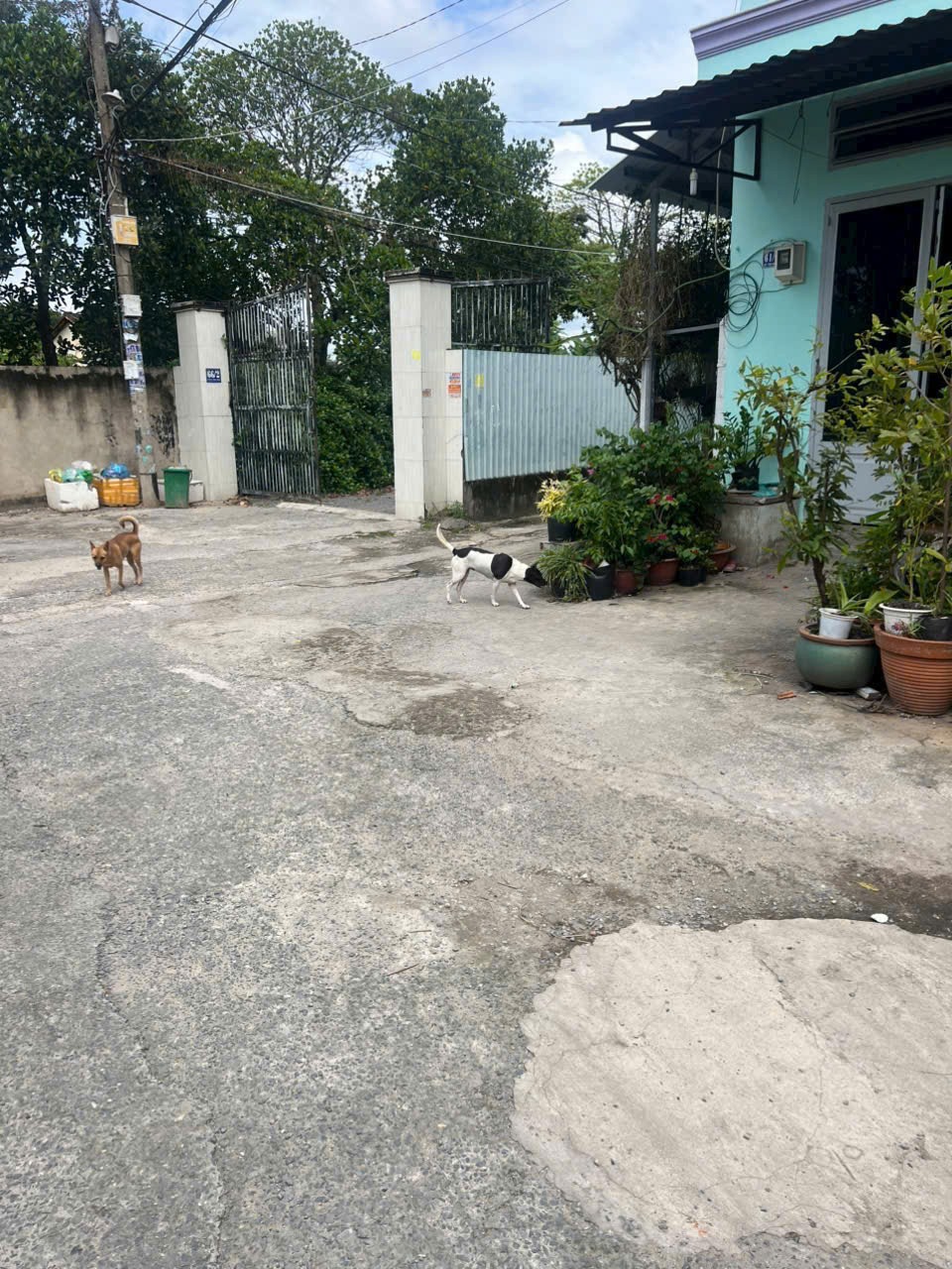 Nhà Sổ Hồng Riêng Tân Hiệp, Hóc Môn - 5x10m, 1 Trệt 1 Lửng - Giá 2.15 Tỷ