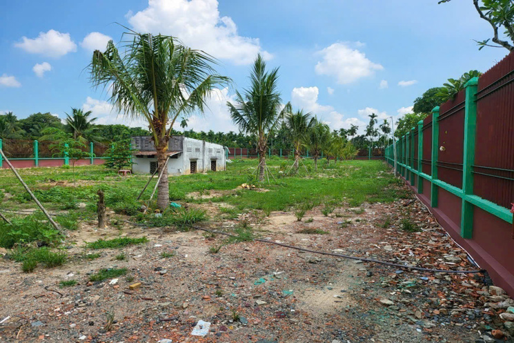 BÁN ĐẤT MẶT TIỀN SÔNG BÀ HỒNG – VIEW SIÊU ĐẸP – NHỊ BÌNH, HÓC MÔN
