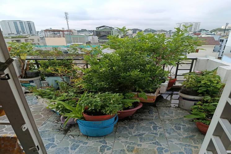 Nhà  HXH Đường Nguyễn Tiểu La Quận 10 Phường 8