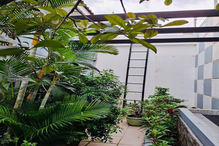 KHU TRUNG TÂM TÂN BÌNH – NHÀ ĐẸP NỞ NGANG 7.2M – 151M² – 25 TỶ x
