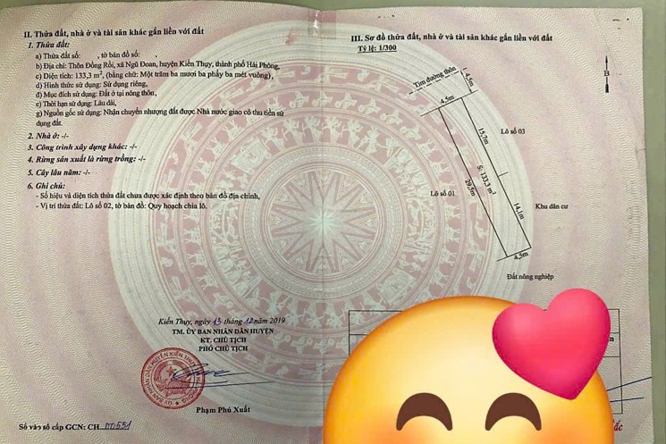 Bán đất khu đấu giá Đồng Rồi, xã Ngũ Đoan, Hải Phòng