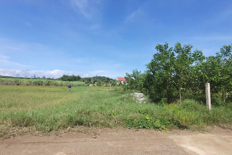 BÁN ĐẤT THỔ CƯ GIÁ RẺ TẠI DIÊN TÂN – DIÊN KHÁNH 🌟