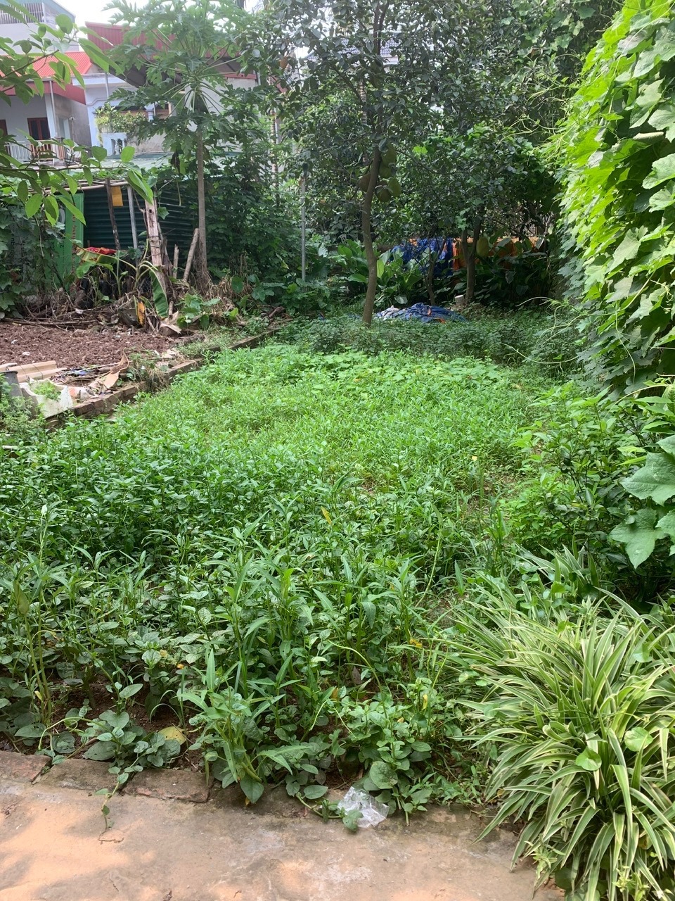 Bán Đất Ngõ 1144/96 Quang Trung, Hà Đông - Giá Tốt, Vị Trí Đắc Địa