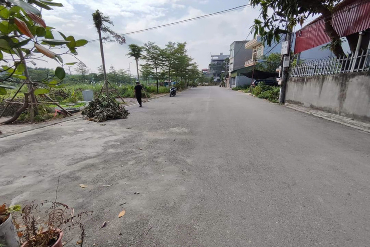 ✅ Bán đất đấu giá X5 Nguyên Khê Đông Anh - 88m - Mặt đường 15m
