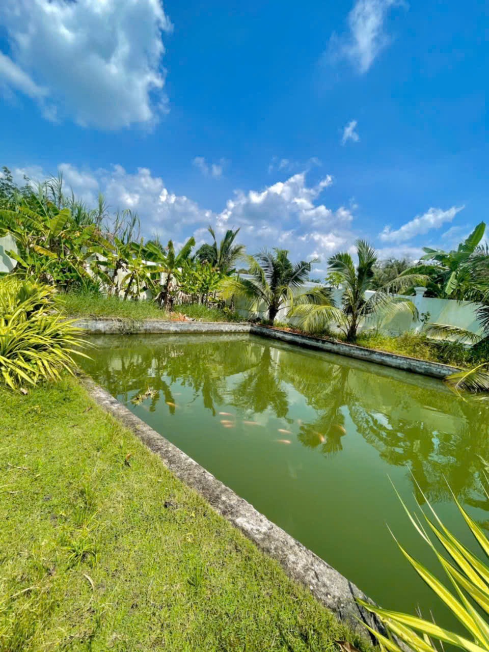 Nhà Vườn View Kênh Củ Chi - 1700m2, 3PN, Giá 8.5 Tỷ