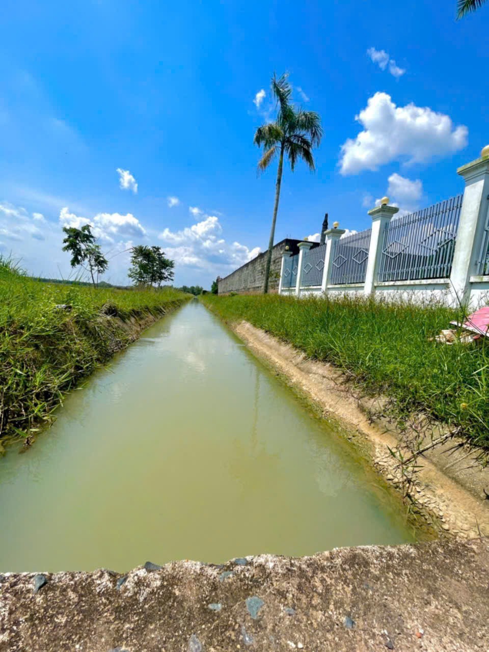 Nhà Vườn View Kênh Củ Chi - 1700m2, 3PN, Giá 8.5 Tỷ
