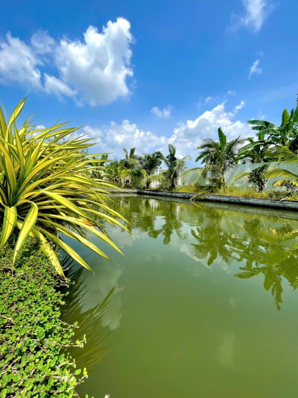 Nhà Vườn View Kênh Củ Chi - 1700m2, 3PN, Giá 8.5 Tỷ