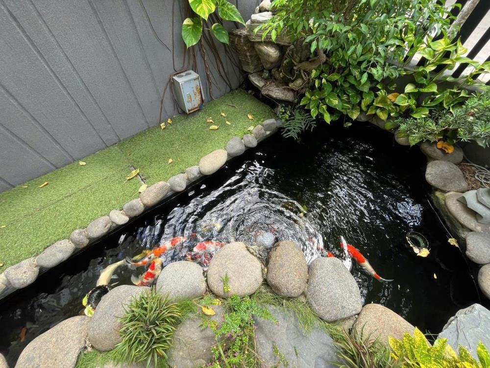 Bán Nhà Đẹp, Giá Tốt Tại Hiệp Bình Phước, Thủ Đức - 10x25m, 250m2