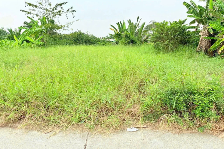 ĐẤT ĐẸP – MẶT TIỀN - Chính Chủ Bán Lô Đất Tiềm Năng Đường Trần Văn Đức, Bình Lãng, Tân Trụ, Long An