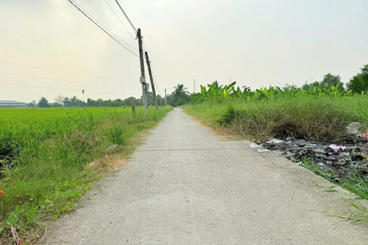 ĐẤT ĐẸP – MẶT TIỀN - Chính Chủ Bán Lô Đất Tiềm Năng Đường Trần Văn Đức, Bình Lãng, Tân Trụ, Long An