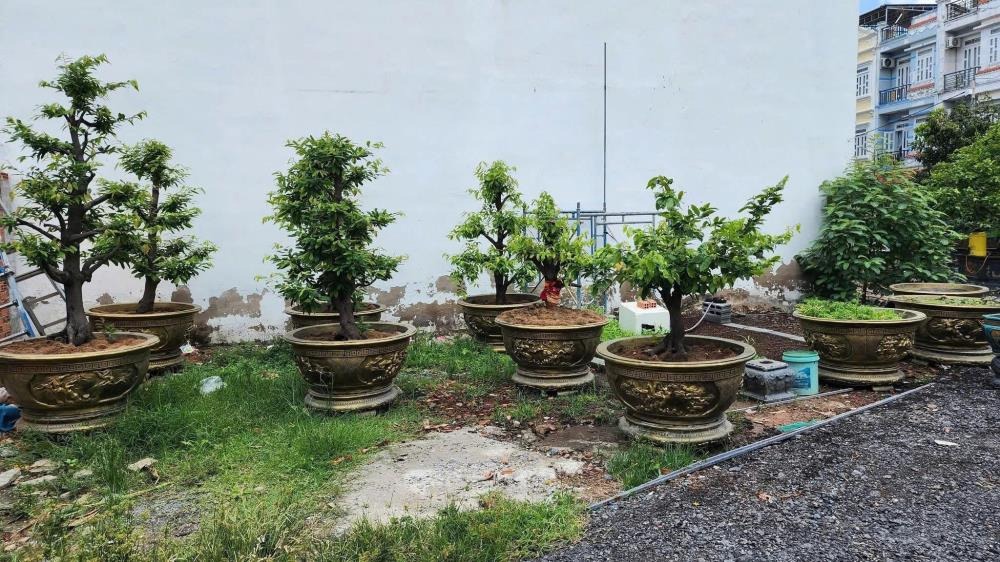 Bán Đất Nền Quận 12 - 4x20m, Giá Chỉ 4.3 Tỷ - Vị Trí Đẹp