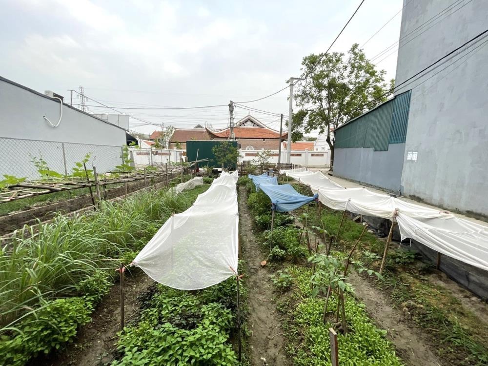 Bán Đất Lô Góc Xuân Nộn - 116m2, Giá Rẻ, Đầu Làng, Trục Chính
