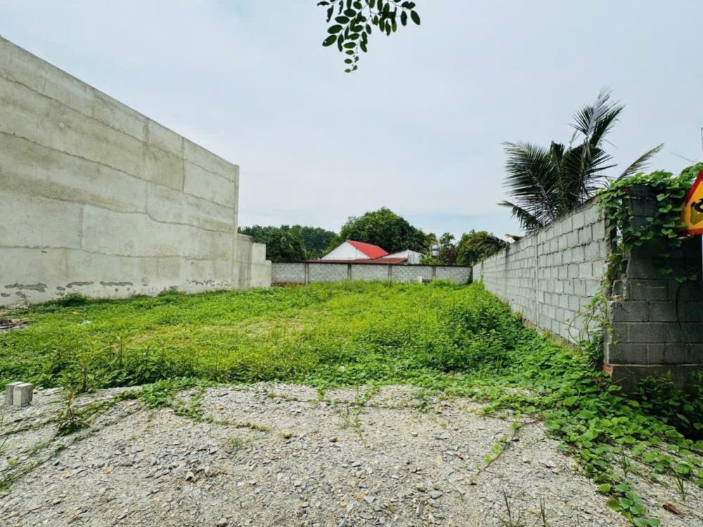 Bán Gấp Đất Phước Hiệp 129m2 - Thổ Cư, Vị Trí Đẹp, Giá Tốt