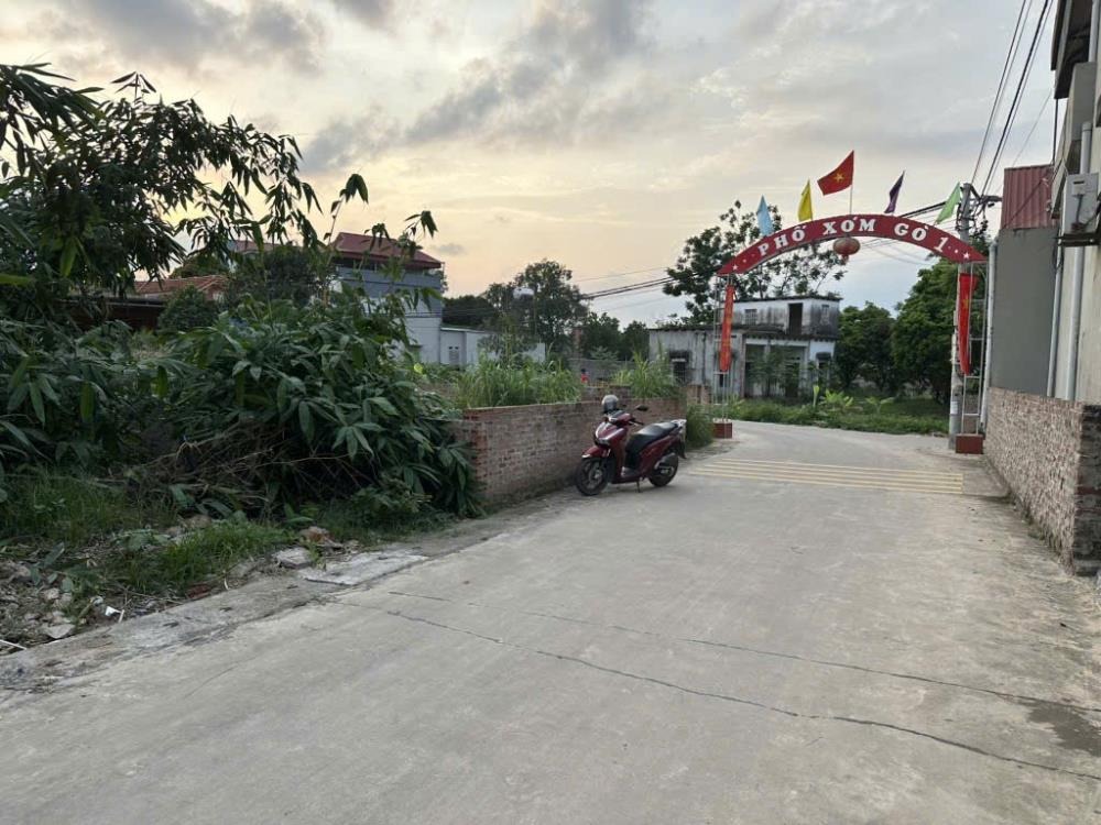 Bán Gấp Đất Vàng Lập Trí, Sóc Sơn, Hà Nội - Giá Tốt Nhất