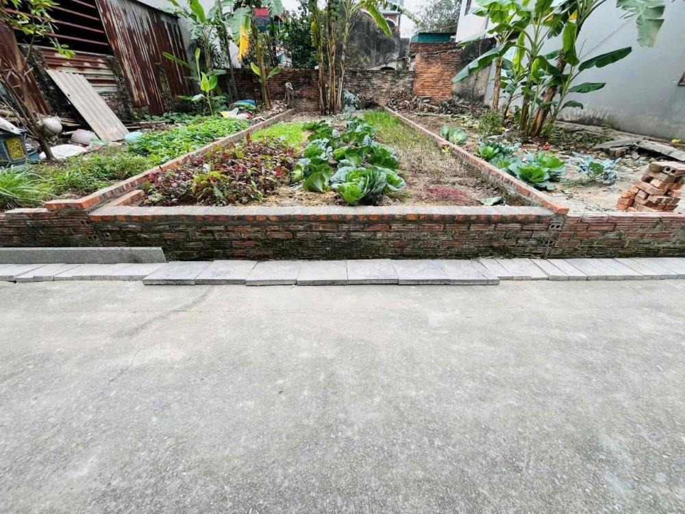 Bán đất Yên Thư Lâm, Hà Nội 48m2, Ô Tô Đỗ Cửa, Giá 3 Tỷ Nhỉnh