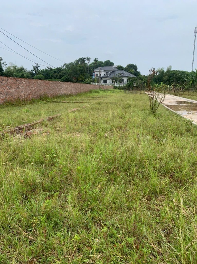 Bán Đất Yên Thư, Hà Nội 48m², Ô Tô Đỗ Cửa, Giá 3 Tỷ Nhỉnh