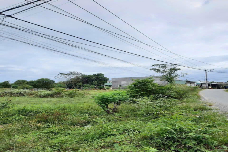 BÁN GẤP 1.949M², NỞ HẬU ĐẸP - ĐẤT MẶT TIỀN SÔNG LU – CỦ CHI