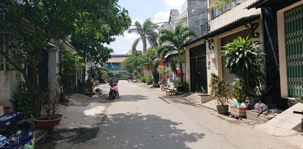 Bán đất Hóc Môn 65m2, SHR, Giá 1 tỷ 250 - Giác Đạo Trung Chánh
