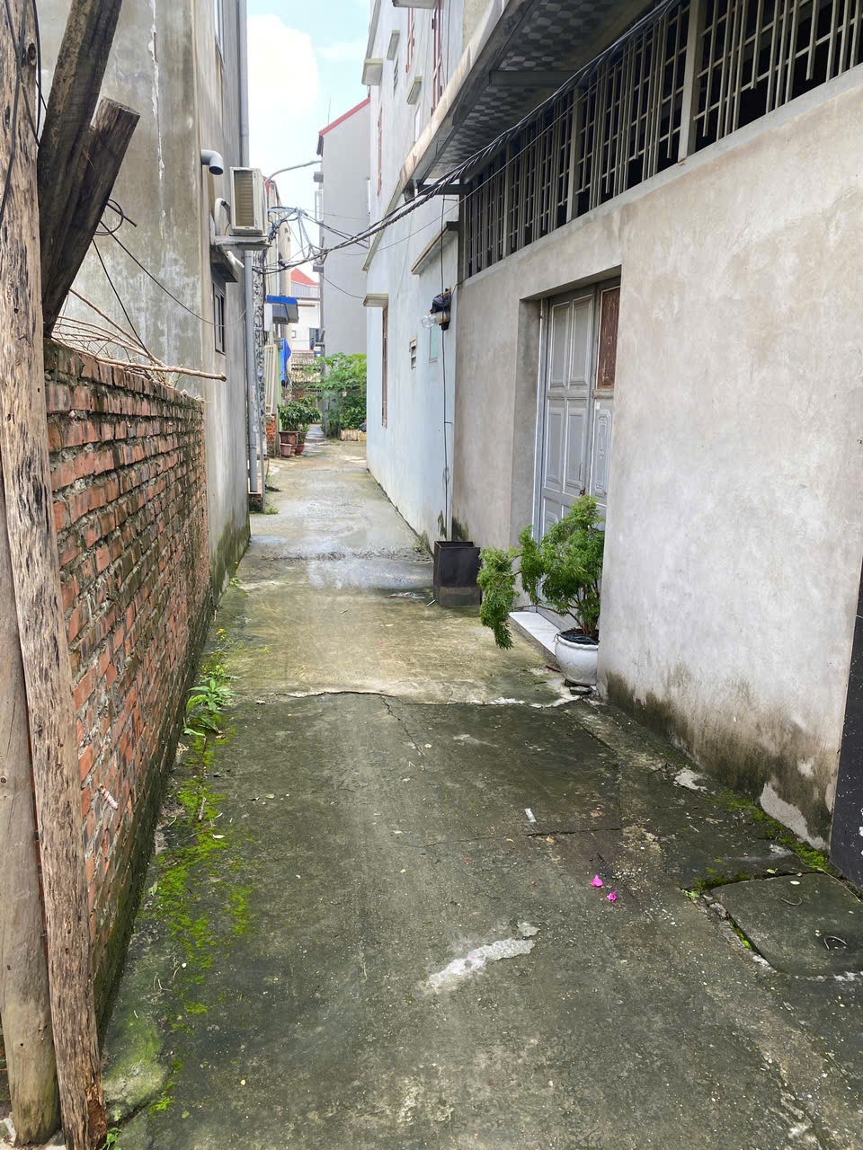 Đất Cao Lỗ, Uy Nỗ, Đông Anh - Giá Tốt, Vị Trí Đẹp