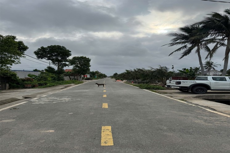 1.45 tỷ 65.5m2 Trung Nghĩa Đồ Sơn Zalo 0567222555