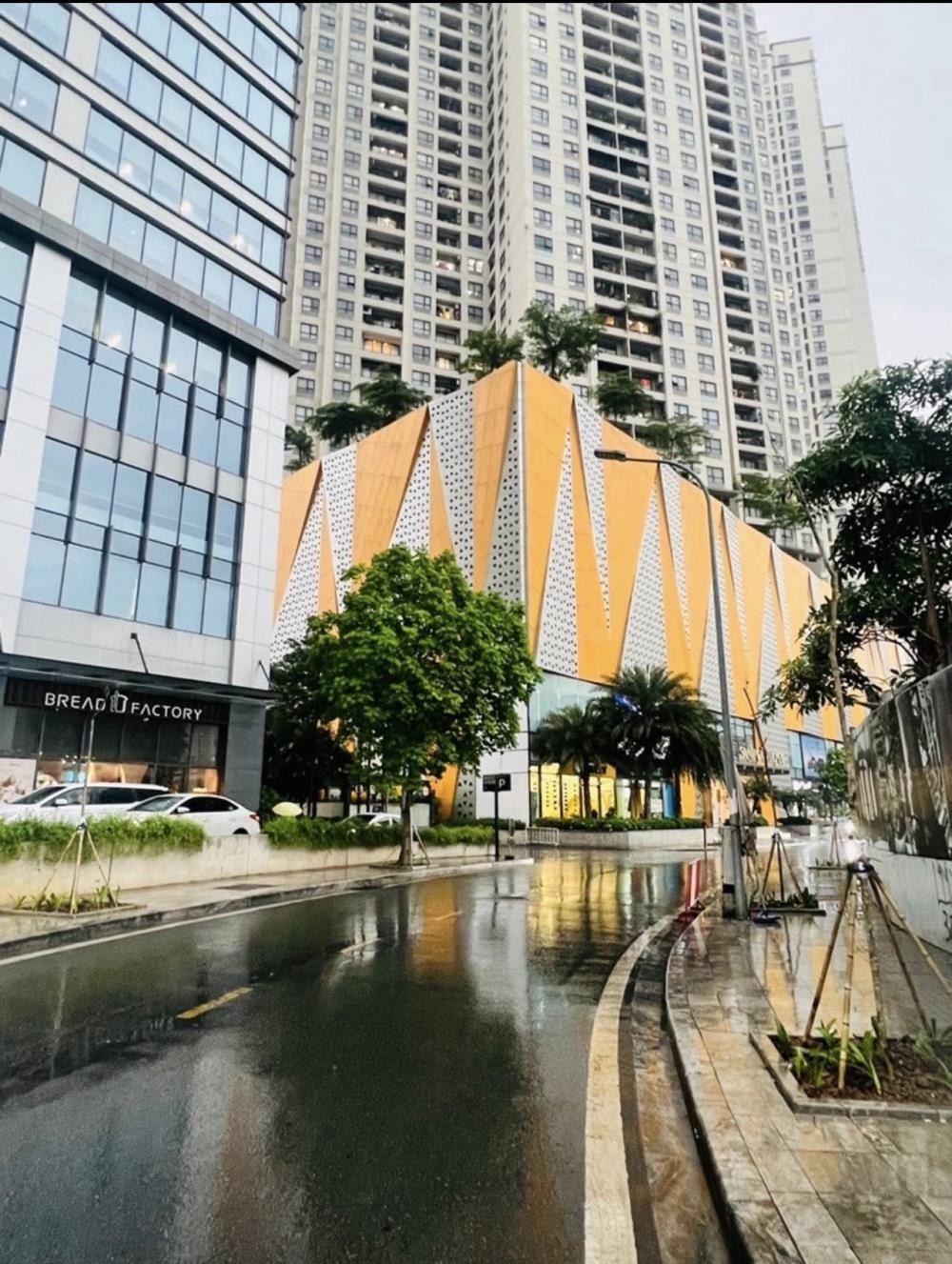 Căn hộ D’Capitale Trần Duy Hưng 108.3m2 - 3PN View Triệu Đô - Giá 12.6 Tỷ
