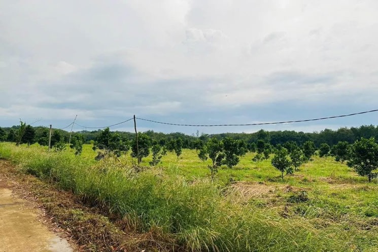 🔥 BÁN GẤP LÔ ĐẤT GIÁ CHỈ 290 TRIỆU 🔥