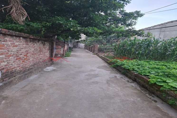 CHÍNH CHỦ BÁN LÔ ĐẤT 47,8M TẠI THỤY HƯƠNG-CHƯƠNG MỸ-HÀ NỘI