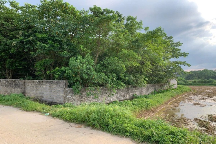 SIÊU PHẨM 1627M TẠI TÂN TIẾN CŨ(GIỜ LÀ XÃ XUÂN MAI-CHƯƠNG MỸ-HÀ NỘI)