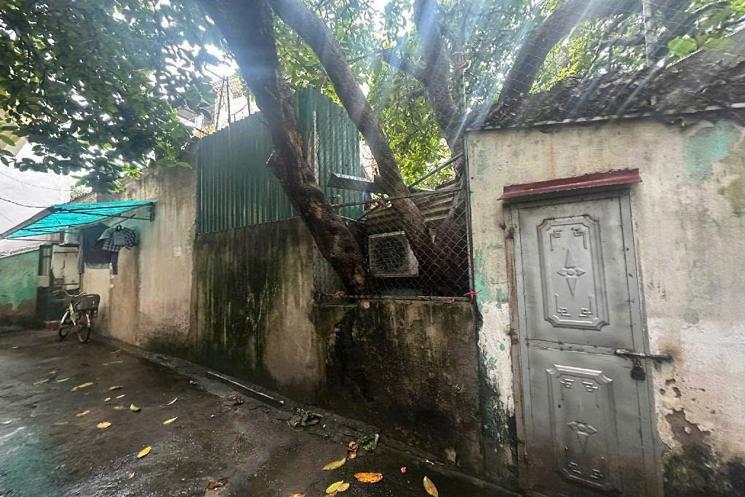 55m² – Ngọc Thụy – Lô Góc – Ô Tô Thông – Kinh Doanh – Giá 8.55 Tỷ (Tách Thửa)