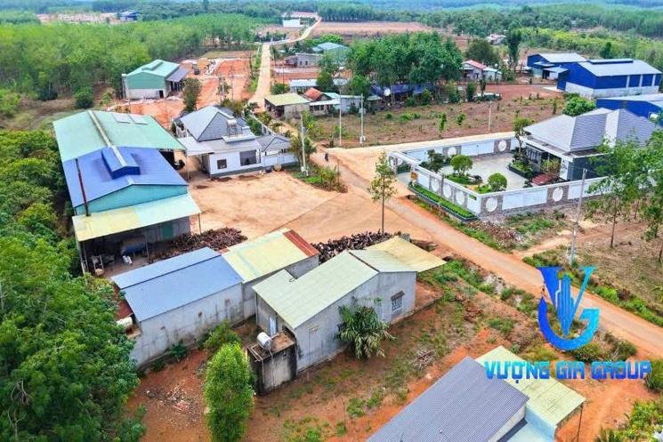 Bán đất cạnh KCN, có hơn 60 cơ sở chế biến hạt Điều