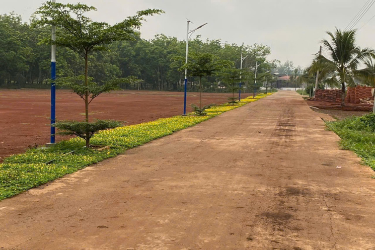 Bán đất cạnh KCN, có hơn 60 cơ sở chế biến hạt Điều