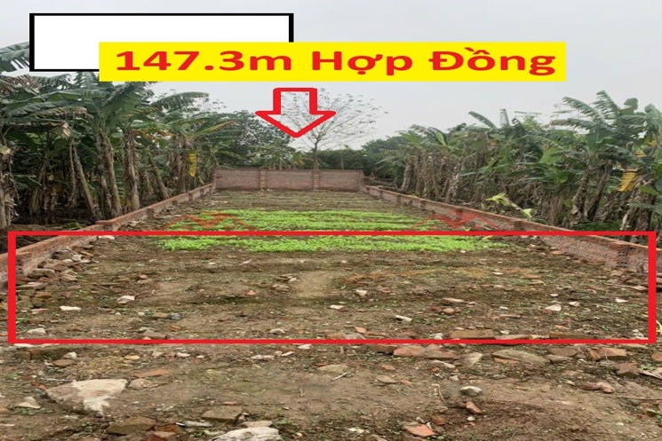 HÀNG FO CHÍNH CHỦ BÁN LÔ ĐẤT 147,3M TẠI HỢP ĐỒNG-CHƯƠNG MỸ-HÀ NỘI