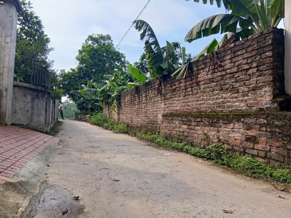 Bán Đất Thanh Oai - 81m2, Ô Tô Đỗ Cửa, Gần VinGroup & Cienco 5 - 0977690119