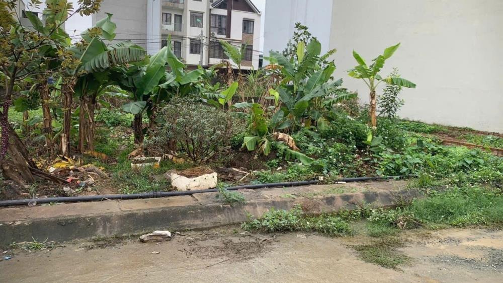 Bán Đất Phân Lô Bắc Từ Liêm - Vị Trí Đẹp, Giá Hơn 9 Tỷ