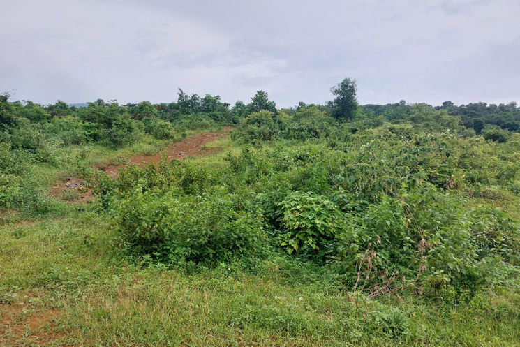 CHÍNH CHỦ CẦN BÁN  2,5 ha ĐẤT BÁM SUỐI VIEW SIÊU ĐEP TẠI LƯƠNG SƠN – PHÚ THỌ